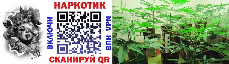 Наркота Хабаровск APVP  ГАШИШ  Бошки Шишки 
