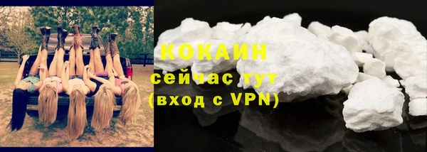 ECSTASY Бородино