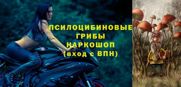 ECSTASY Бородино