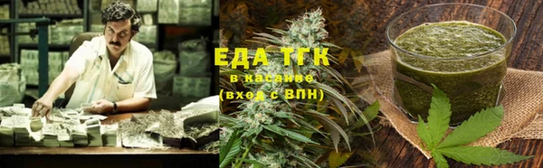 ECSTASY Бородино
