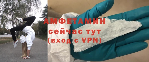 ECSTASY Бородино