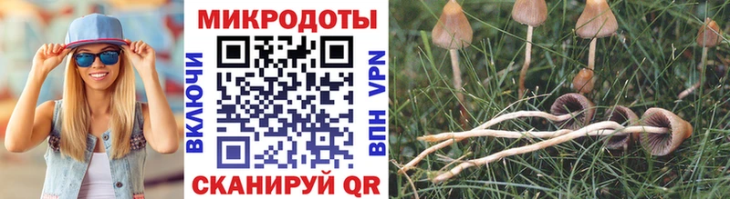 Псилоцибиновые грибы MAGIC MUSHROOMS  Хабаровск 